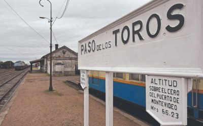 El impulso de UPM que las empresas del centro del país quieren aprovechar