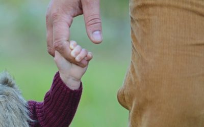 Las Empresas Familiares